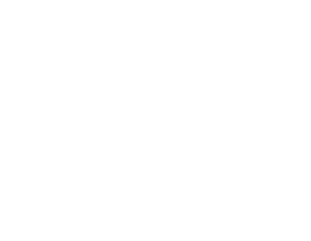 Nelly Vision - Visionnelly
